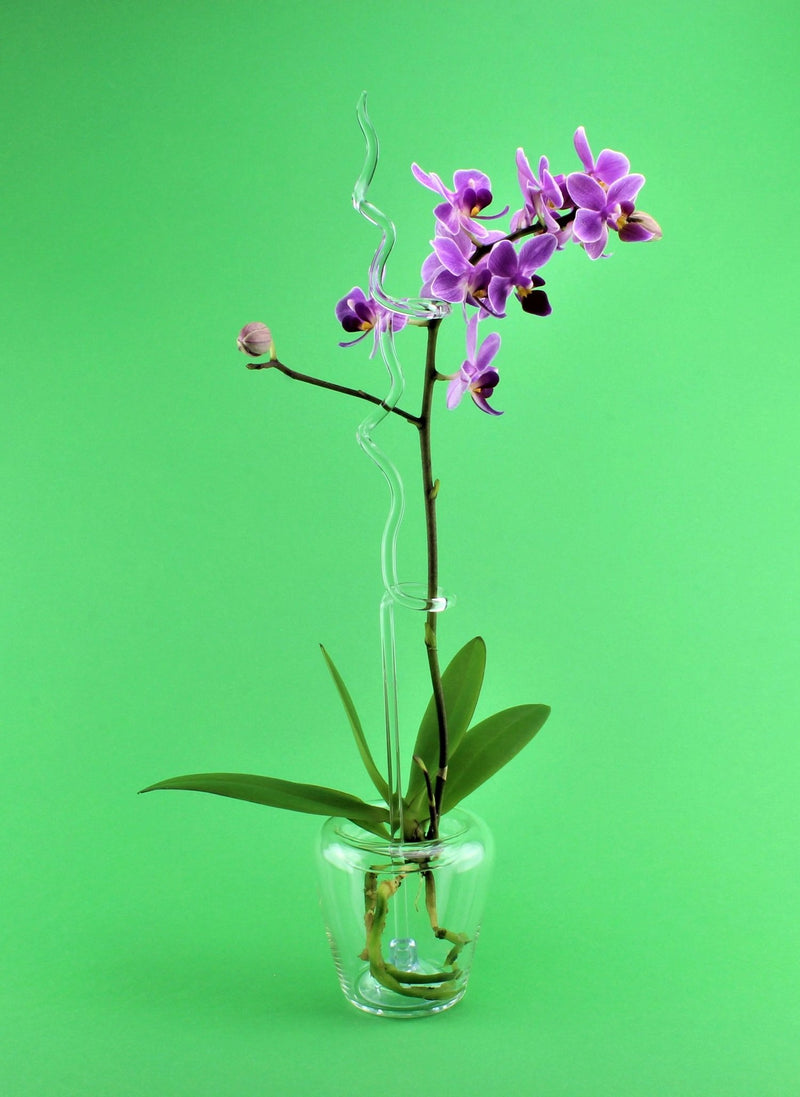 Orchideentopf,  Borosilikat 7 cm , klar
