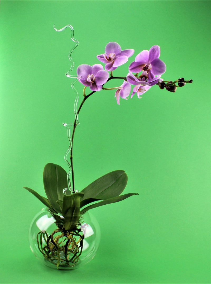 Orchideen Topf rund , Borosilikat 16 cm , klar